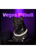 Vegas Pitbull Pırlanta Kolyeli Lüks Dekoratif Pitbull Figürü