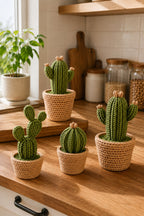 CactusBox 4’lü Dekoratif Saklama Kabı Seti