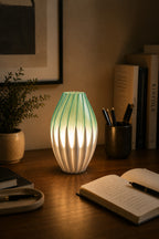 AuraBloom Lamp | Işıklı Dekoratif Lamba