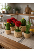 BloomCactus 5’li Dekoratif Saklama Kabı Seti