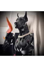 DIESEL DOBERMAN Dekoratif Doberman Büst