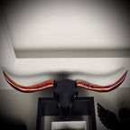 BLACK HORN Dekoratif Duvar Objesi