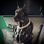 DIESEL DOBERMAN