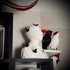 BUTTERFLY PASSİON MUMYA BÜST SİYAH