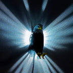 LED Işıklı Kartal Gece Lambası